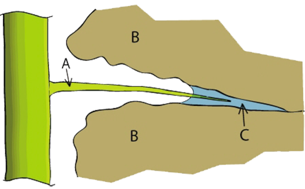El agua del suelo