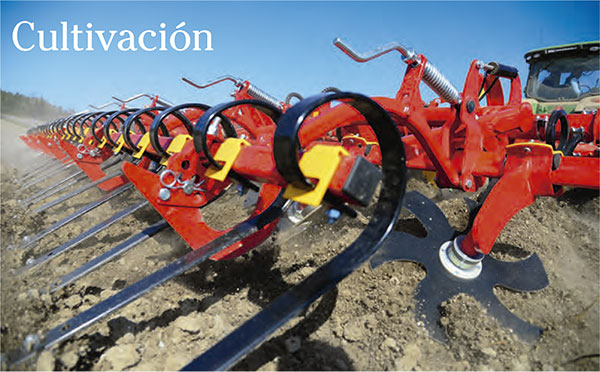 Catálogo de cultivacion